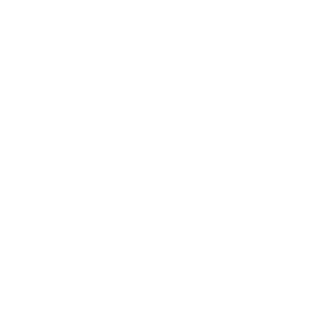 ILG AG Wimmis Logo